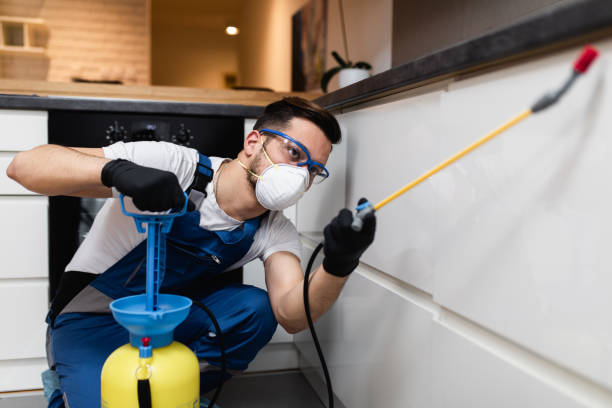Wasp Removal Services in Griswold, IA
