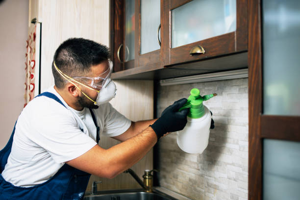 Best Flea Control Services  in Griswold, IA