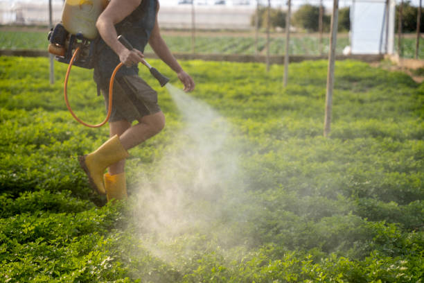 Professional Pest Control in Griswold, IA